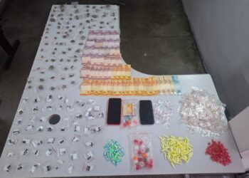 GCM apreende mais de 500 porções de drogas em operação no Jardim Petrópolis