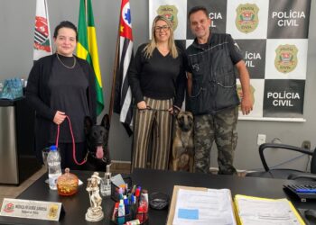 Agosto Lilás: Cotia terá apresentação de ‘Cão Protetor para Mulheres Vítimas de Violência’