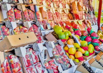 EcoFeira Granja Viana terá ‘Versão de Inverno’ no Parque Jequitibá