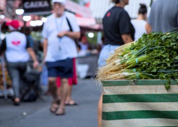 Feira livre da Granja Viana terá programação especial com atendimento do Procon e outras atividades