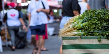 Feira livre da Granja Viana terá programação especial com atendimento do Procon e outras atividades