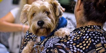 Quinta-feira, 25, Cotia terá ação de vacinação antirrábica para cães e gatos no Jd. Sandra