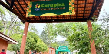 Viveiro Municipal Curupira é revitalizado e se torna referência em educação ambiental em Cotia