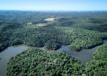 Reserva Florestal do Morro Grande agora é uma Unidade de Conservação de Proteção Integral