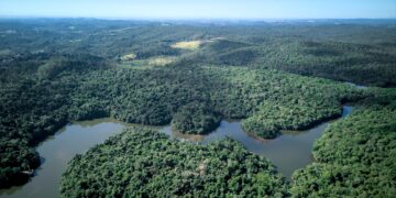 Reserva Florestal do Morro Grande agora é uma Unidade de Conservação de Proteção Integral