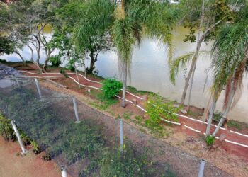 Domingo, 9, tem entrega da revitalização e de novos projetos do Viveiro Municipal