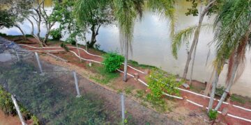 Domingo, 9, tem entrega da revitalização e de novos projetos do Viveiro Municipal