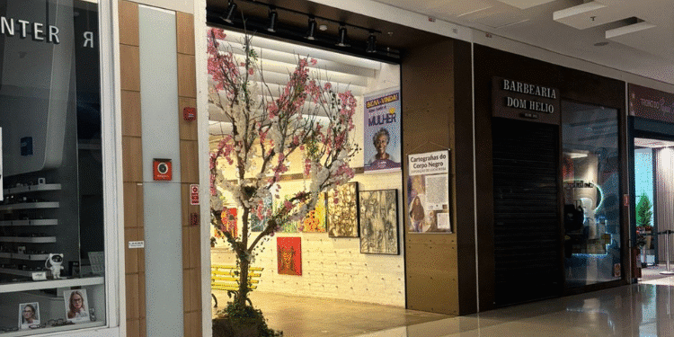 Árvore dos Sonhos: quando uma história termina, outra floresce