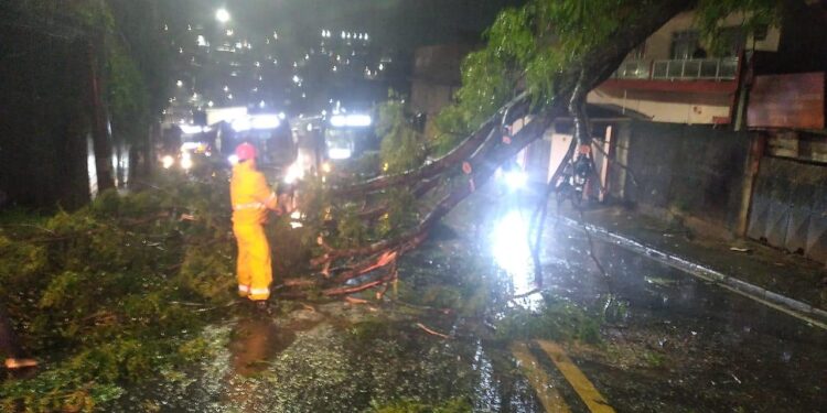 Ventos fortes mobilizam Defesa Civil; cidade registra quedas de árvores e falta de energia