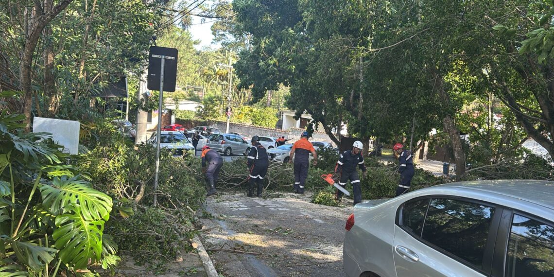 Defesa Civil de Cotia atua em regime de contingência após passagem de ciclone