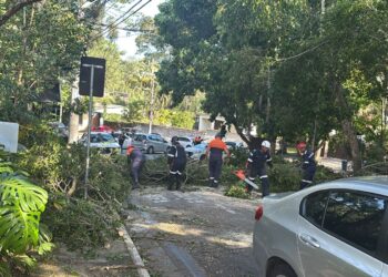 Defesa Civil de Cotia atua em regime de contingência após passagem de ciclone