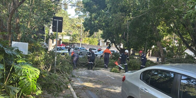 Defesa Civil de Cotia atua em regime de contingência após passagem de ciclone