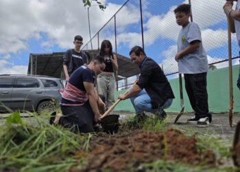 Projeto Pau-Brasil começa por Caucaia do Alto e reforça consciência ambiental