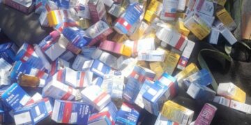 Guarda Civil apreende cerca de 2 mil caixas de medicamentos descartados irregularmente na Estrada das Pitas