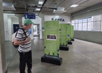Cotia recebe exposição itinerante do Museu da Inclusão