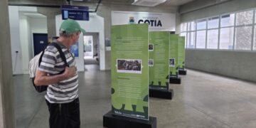 Cotia recebe exposição itinerante do Museu da Inclusão