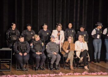 Cotia por Elas fortalece rede de proteção e amplia diálogo no combate à violência contra a mulher