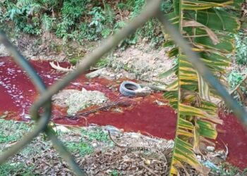 Fiscalização da Prefeitura flagra crime ambiental e lacra fábrica clandestina na divisa com Embu das Artes