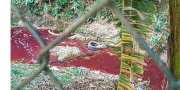 Fiscalização da Prefeitura flagra crime ambiental e lacra fábrica clandestina na divisa com Embu das Artes