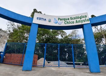 Parque Chico Anysio será revitalizado e passará a se chamar Parque Ecológico Chico Mendes
