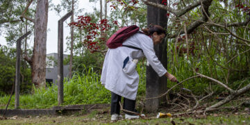 Referência em manejo de escorpiões, Cotia sedia treinamento