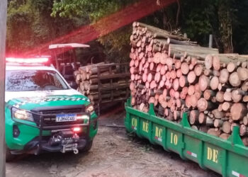 Guarda Ambiental de Cotia prende três por desmatamento no Aguassaí