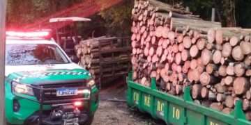 Guarda Ambiental de Cotia prende três por desmatamento no Aguassaí