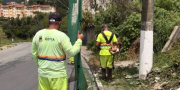 Equipes de zeladoria atuam em ruas, praças e espaços públicos da cidade